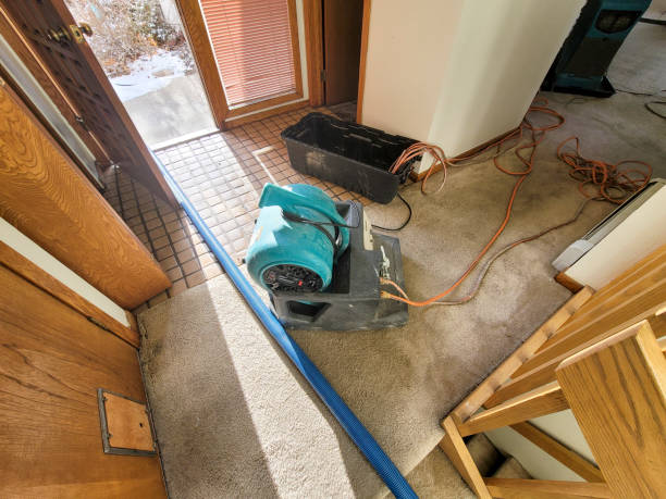 Best 24-hour water damage restoration  in West Chicago, IL