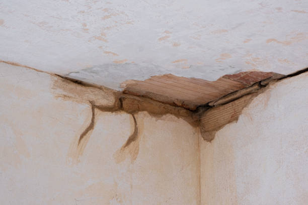 Best Mold removal after water damage  in West Chicago, IL