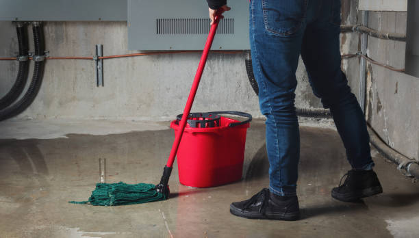 Best Basement water damage restoration  in West Chicago, IL